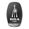 BSA