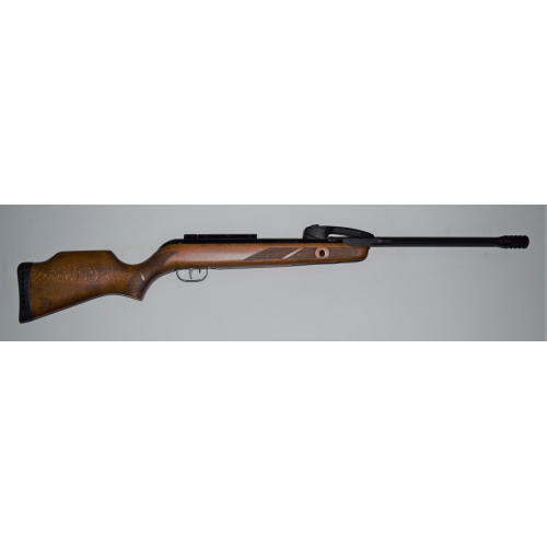 Gamo Fast Shot 10 IGT